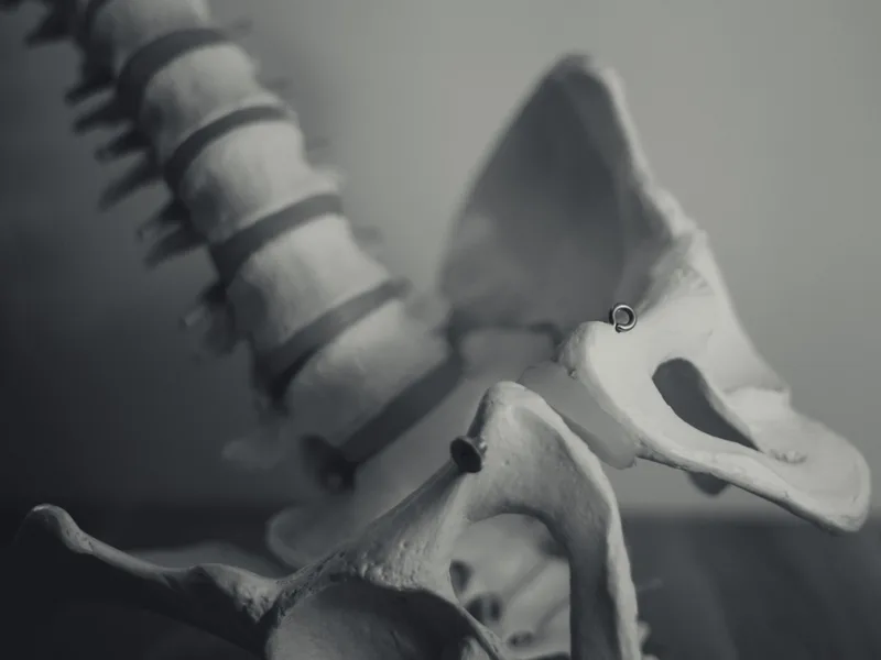 X-Rays at Strong Roots Chiropractic in Eureka